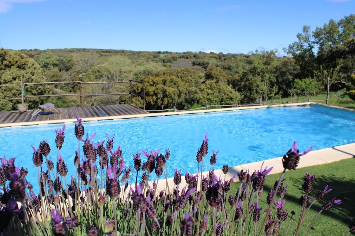 Hotel Quinta Da Devesa -B2 Vinhais Zewnętrze zdjęcie